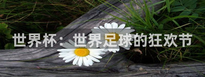 世界杯直播：世界杯：世界足球的狂欢节