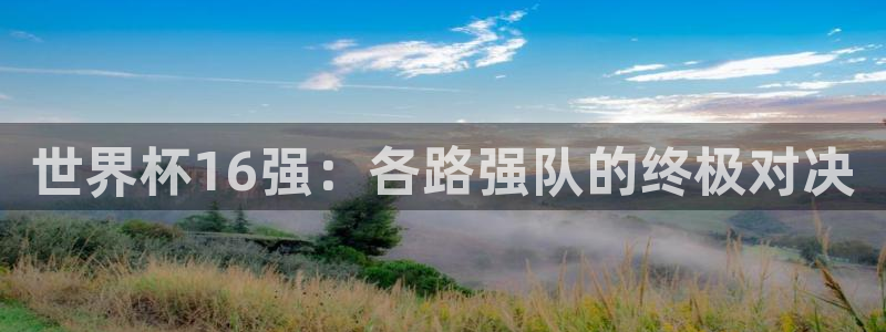 世界杯亚洲区预选赛积分榜：世界杯16强：各路强队的终极对决