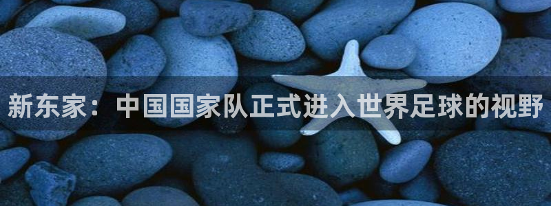 西超杯直播：新东家：中国国家队正式进入世界足球的视野