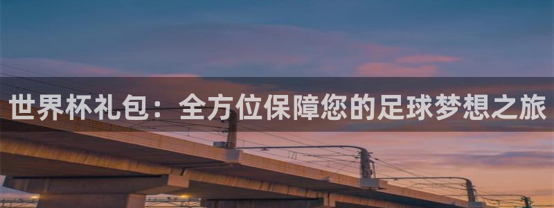 今年世界杯：世界杯礼包：全方位保障您的足球梦想之旅