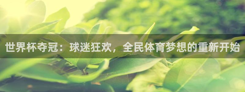 世界杯预选赛赛程表：世界杯夺冠：球迷狂欢，全民体育梦想的重新开始