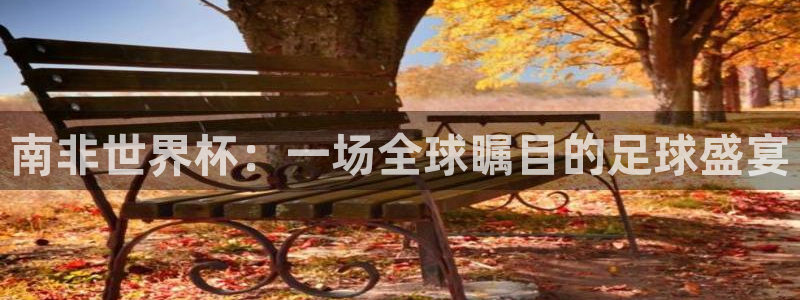 2026世界杯亚洲预选赛：南非世界杯：一场全球瞩目的足球盛宴