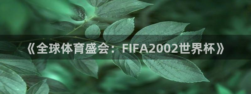 葡萄牙世界杯赛程：《全球体育盛会：FIFA2002世界杯》