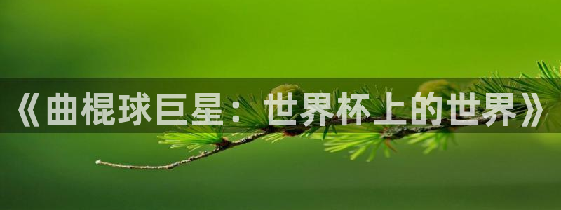 世界杯官网：《曲棍球巨星：世界杯上的世界》